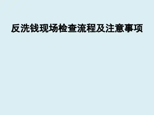 反洗钱现场检查流程及注意事项