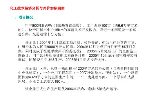 化工技术经济分析与评价实际案例