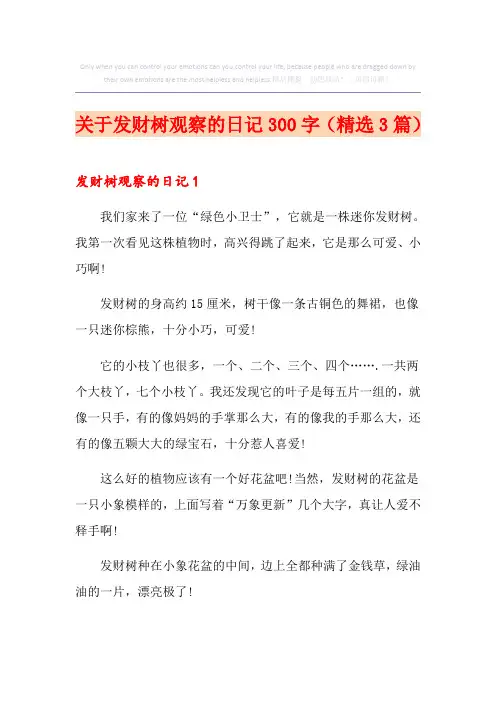 关于发财树观察的日记300字(精选3篇)