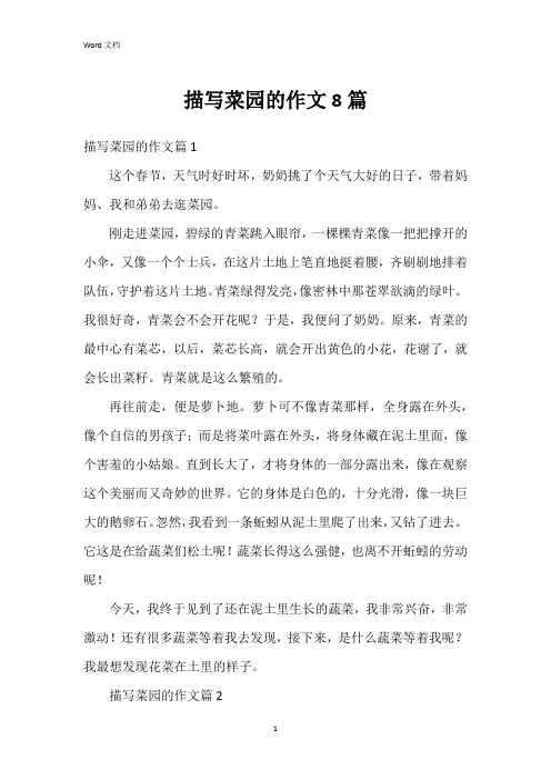 描写菜园的作文8篇