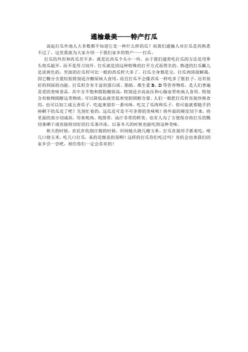 通榆最美——特产打瓜