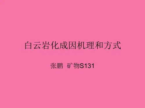 白云岩化成因机理和模式ppt课件
