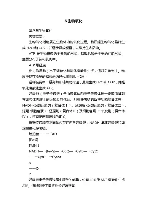 6生物氧化