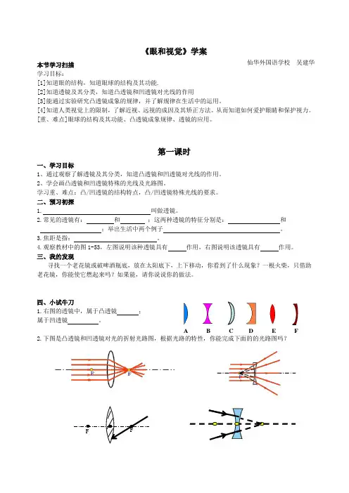 眼和视觉学案