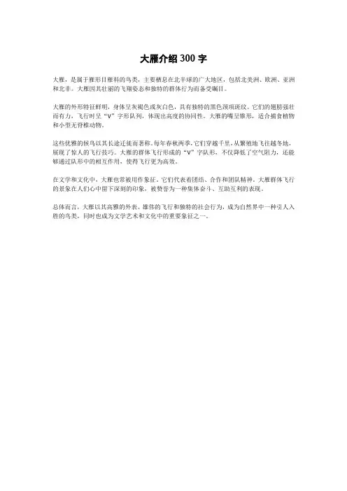 大雁介绍300字