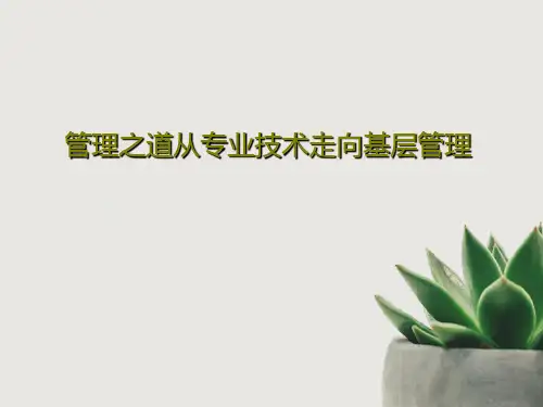 管理之道从专业技术走向基层管理38页PPT