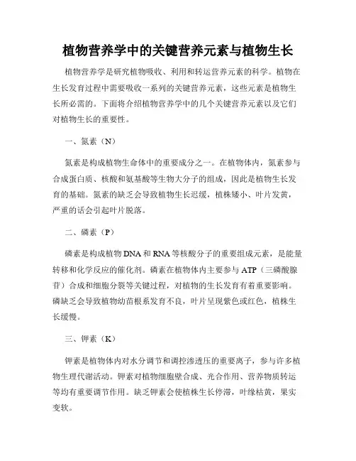 植物营养学中的关键营养元素与植物生长