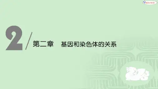 第1课时 减数分裂