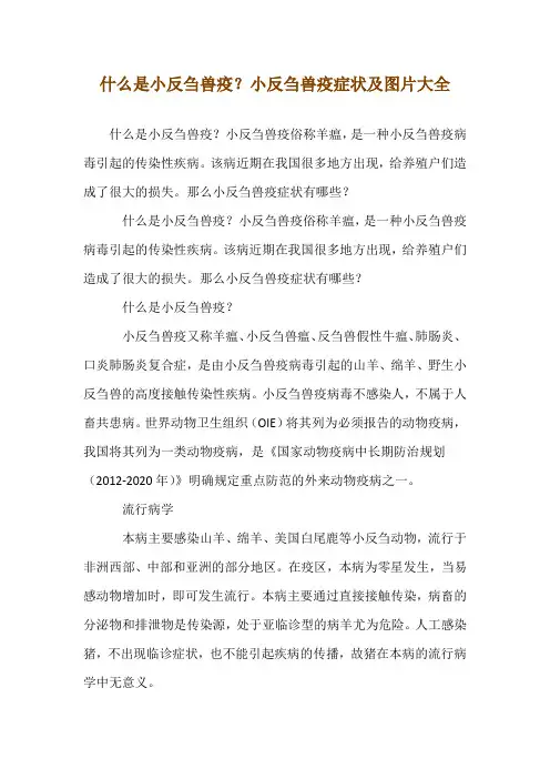什么是小反刍兽疫?小反刍兽疫症状及图片大全