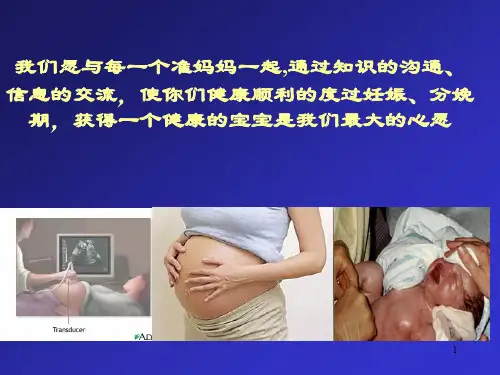 孕早期保健PPT课件