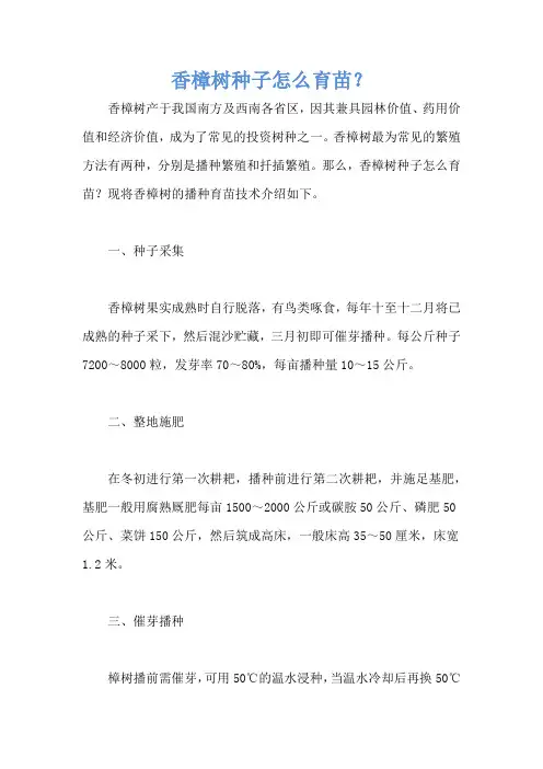 香樟树种子怎么育苗？