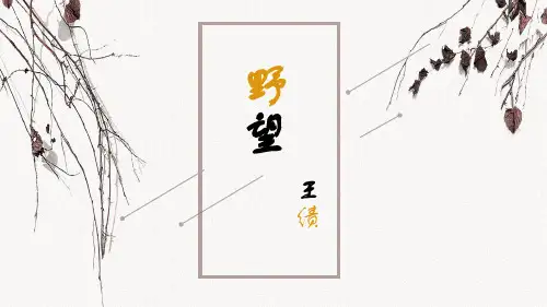 第13课《唐诗五首：野望》课件
