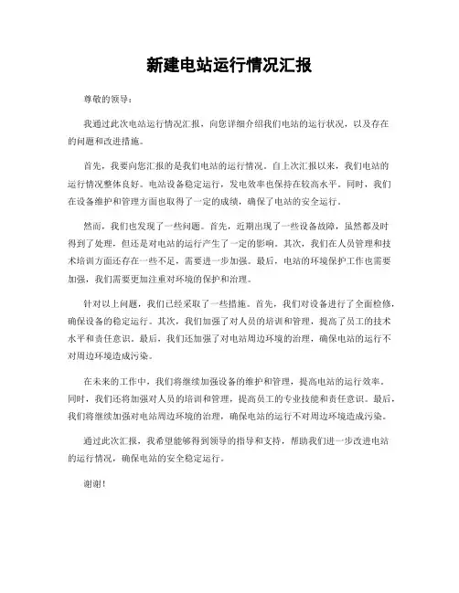 新建电站运行情况汇报