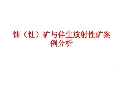 铀(钍)矿与伴生(案例)