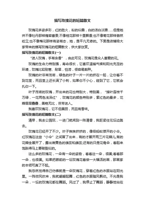 描写玫瑰花的短篇散文