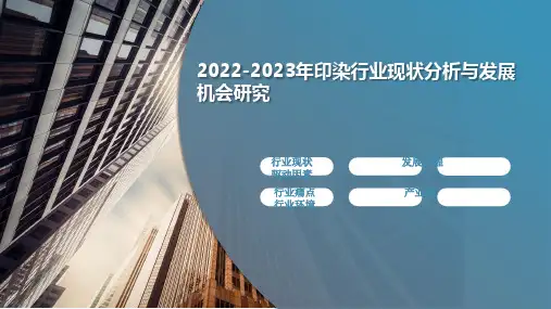 2022-2023年印染行业现状分析与发展机会研究