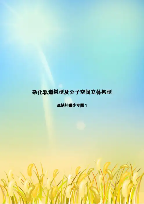 杂化轨道类型及分子空间立体构型
