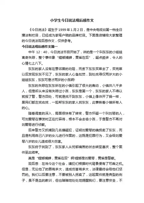 小学生今日说法观后感作文