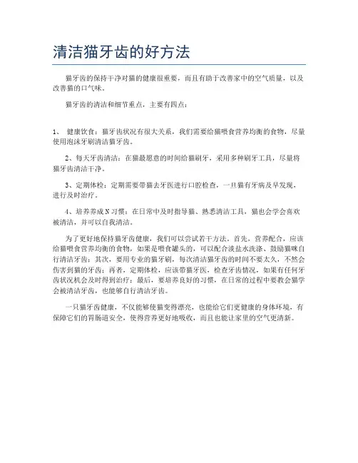清洁猫牙齿的好方法