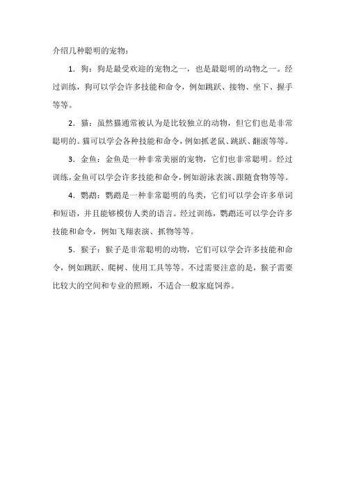 介绍几种聪明的宠物