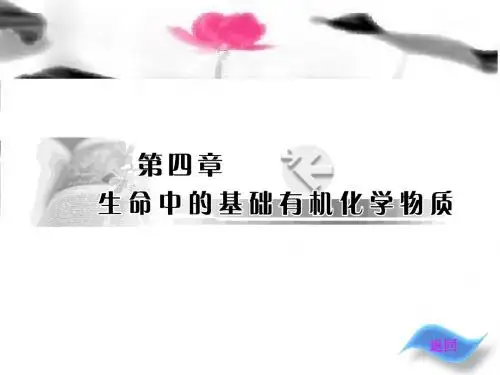 _油脂_