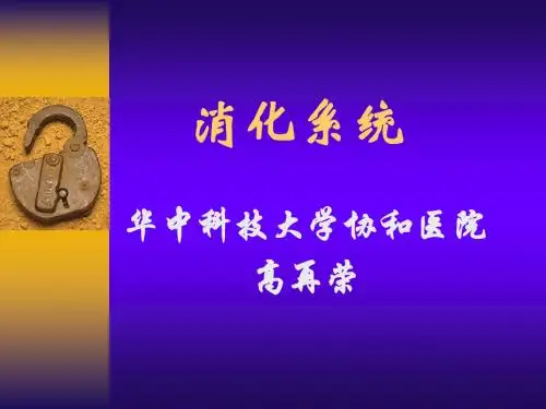 消化系统