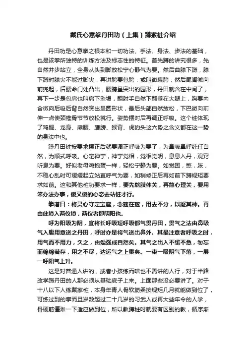 戴氏心意拳丹田功（上集）蹲猴桩介绍