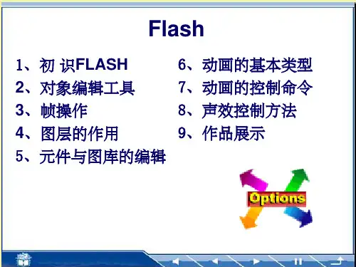 《Flash电子》PPT课件