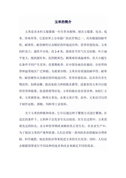 玉米的简介