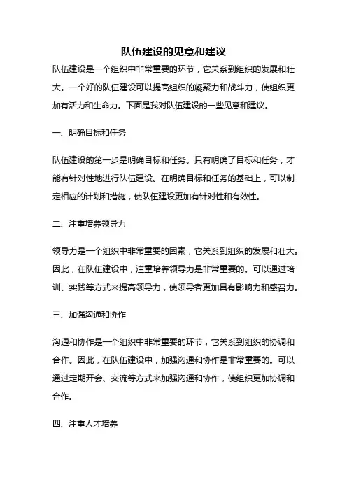 队伍建设的见意和建议