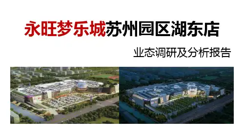 苏州永旺梦乐城市调报告