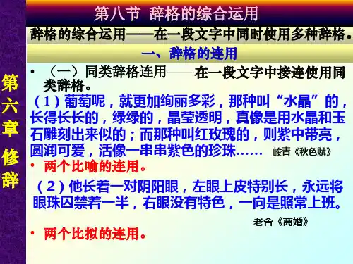 辞格的综合运用