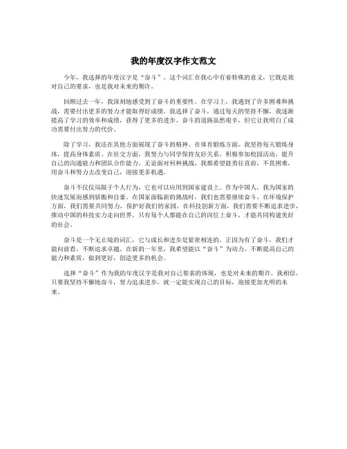 我的年度汉字作文范文