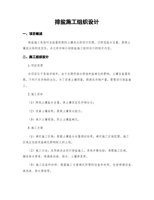 排盐施工组织设计