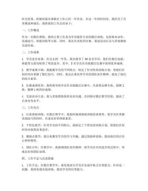 散打个人工作总结