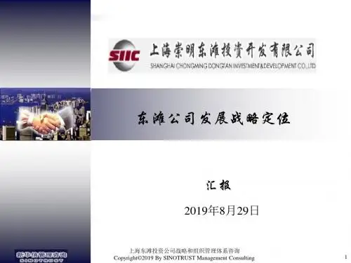 东滩公司发展战略定位-PPT精品