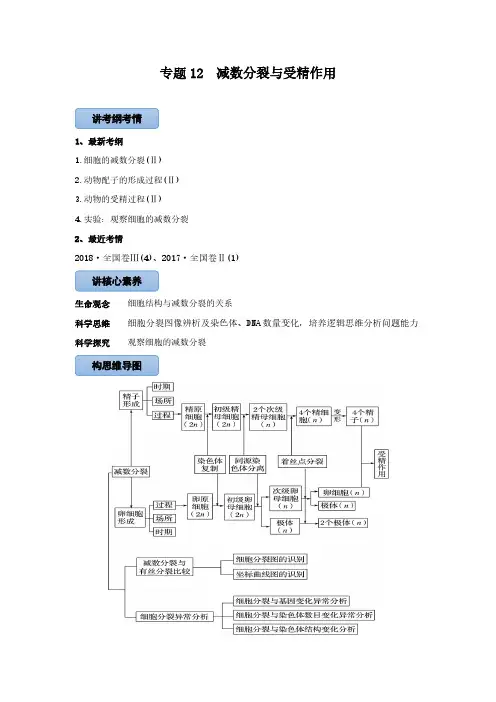 2020-2021学年高三生物一轮复习专题12减数分裂与受精作用（讲）（含答案）