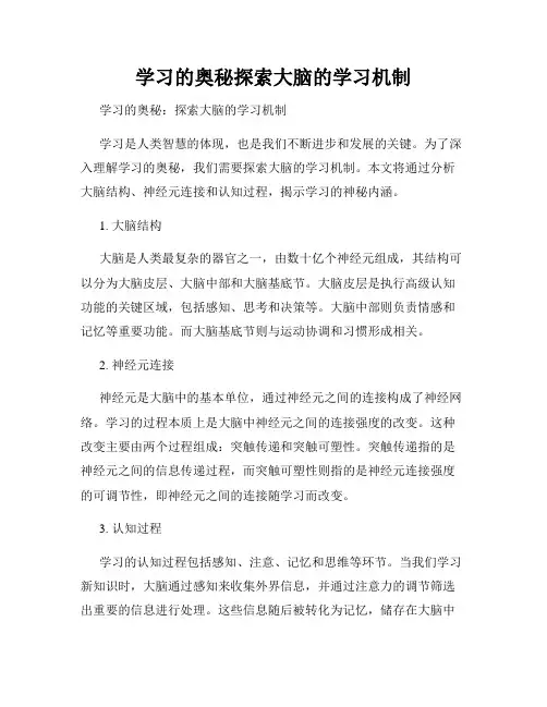 学习的奥秘探索大脑的学习机制