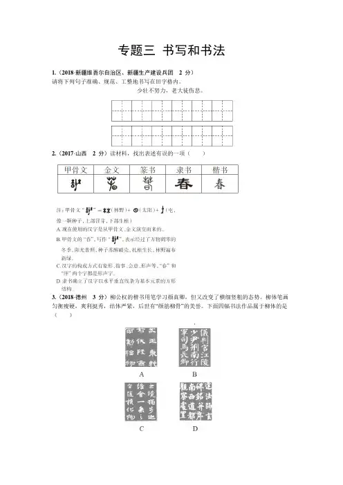 中考语文复习专题三 书写和书法