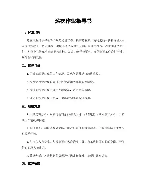巡视作业指导书
