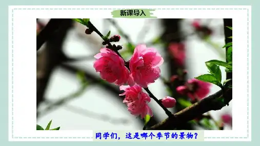 人教统编版七年级语文上册第1课《春》课件+