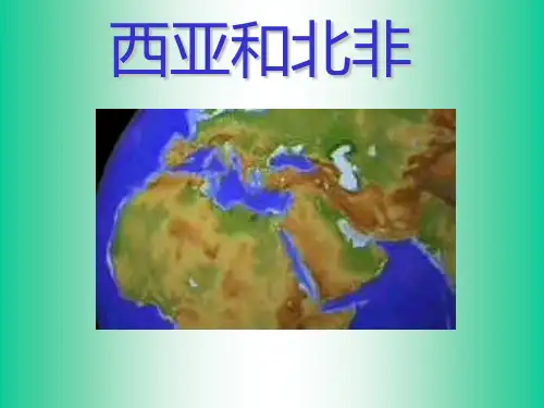 高考地理一轮复习西亚和北非课件(共18张PPT)