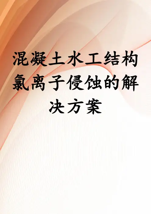 混凝土水工结构氯离子侵蚀的解决方案