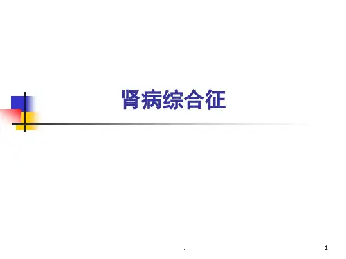 肾病综合征PPT课件