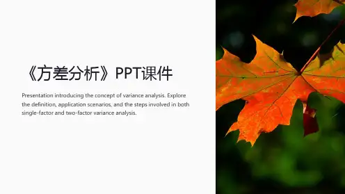 《方差分析》课件
