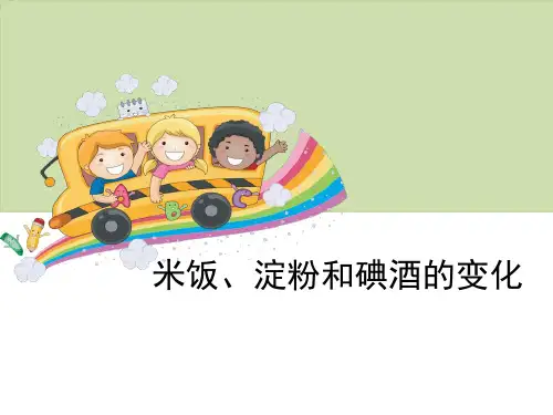 《物质的变化——米饭、淀粉和碘酒的变化》科学教学PPT课件(2篇)