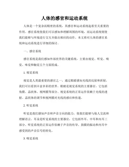 人体的感官和运动系统