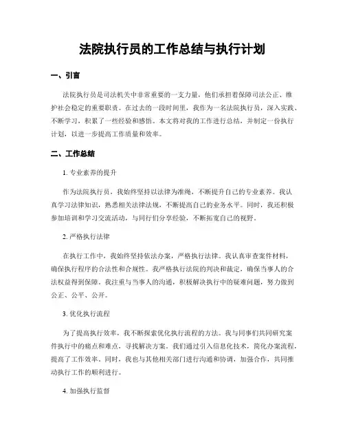 法院执行员的工作总结与执行计划