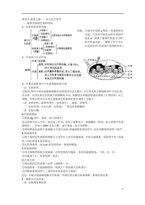 高中生物必修一-光合作用详细知识点整理（含部分题型）