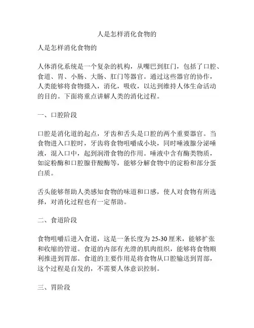 人是怎样消化食物的